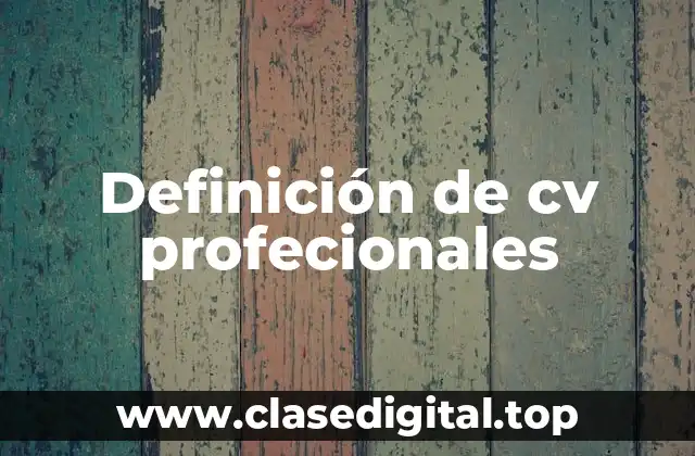 Definición de cv profecionales