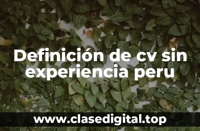Definición de cv sin experiencia peru