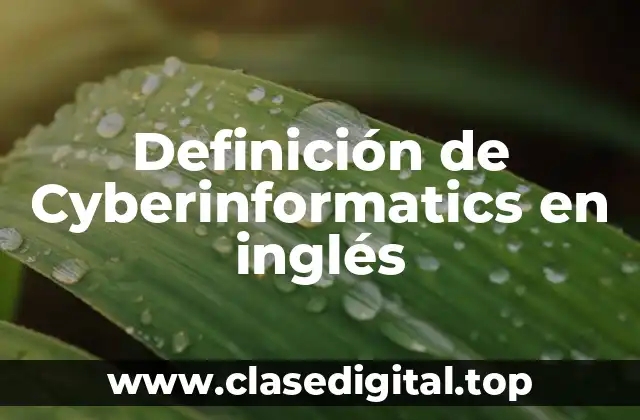 Definición de Cyberinformatics en inglés