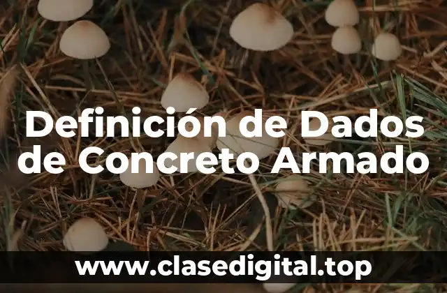 Definición de Dados de Concreto Armado