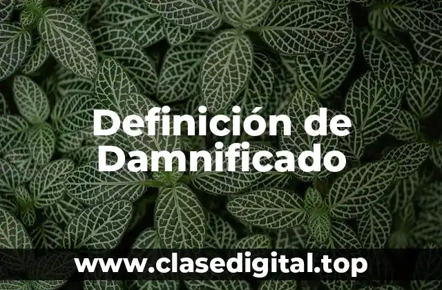 Definición técnica de damnificado