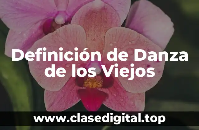 Definición de Danza de los Viejos