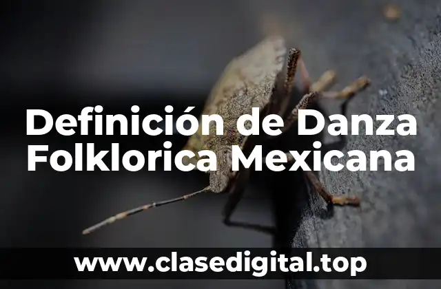 Definición de Danza Folklorica Mexicana