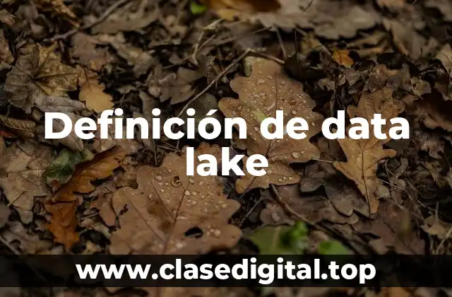 Definición de data lake