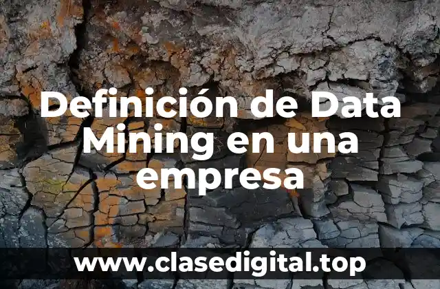 Definición de Data Mining en una empresa