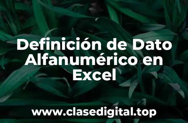 Definición de Dato Alfanumérico en Excel