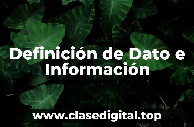 Definición de Dato e Información