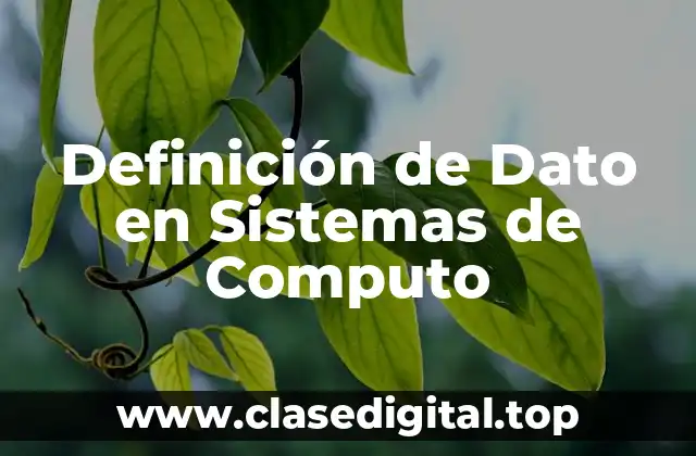 Definición de Dato en Sistemas de Computo