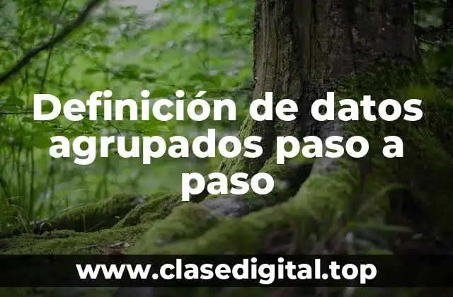 Definición de datos agrupados paso a paso