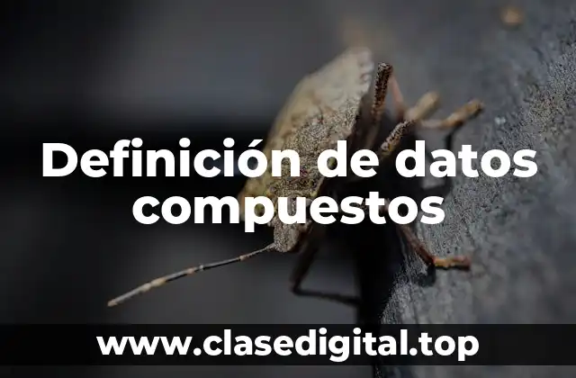 Definición de datos compuestos