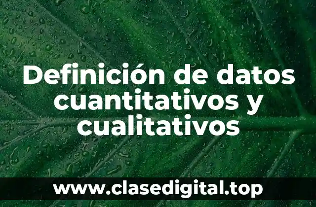 Definición técnica de datos cuantitativos y cualitativos