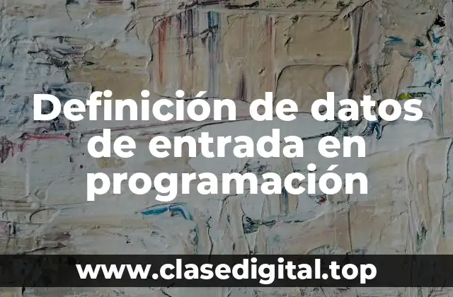 Definición de datos de entrada en programación