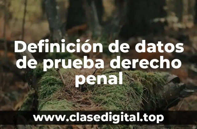 Definición técnica de datos de prueba derecho penal