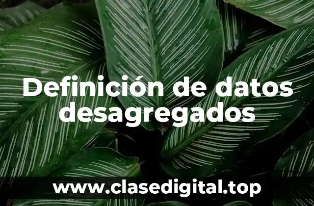 Definición de datos desagregados