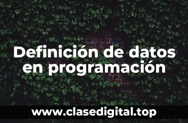 Definición de datos en programación
