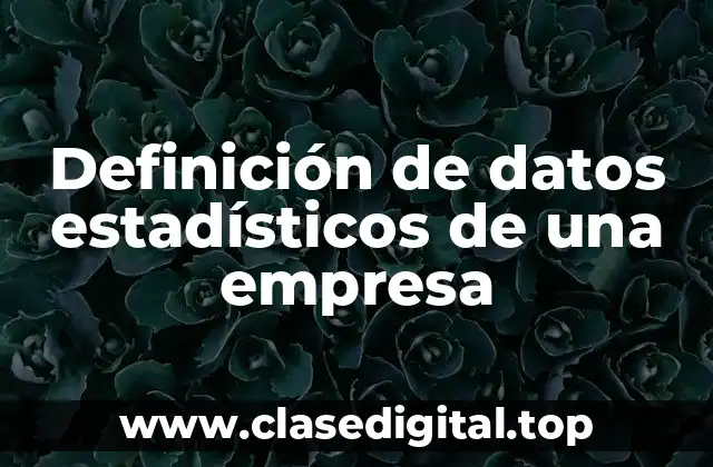 Definición de datos estadísticos de una empresa
