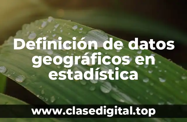 Definición de datos geográficos en estadística