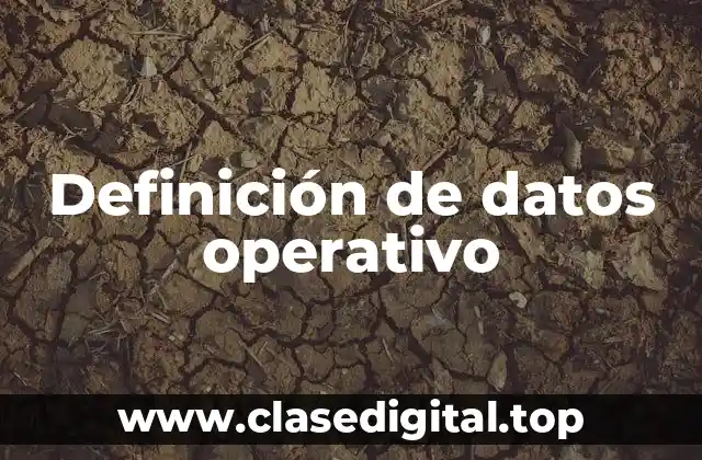Definición de datos operativo