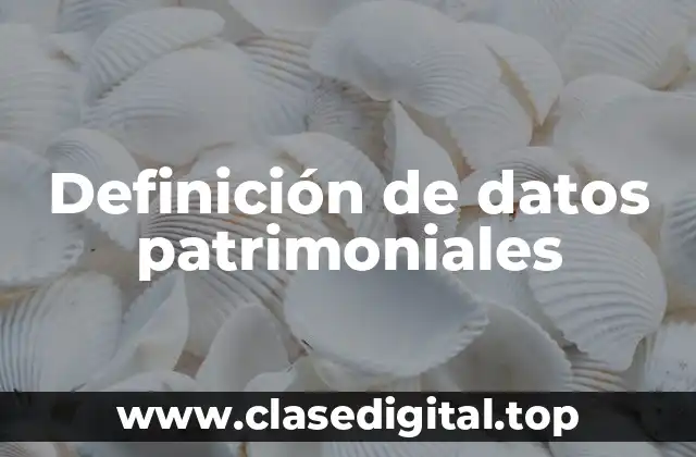 Definición de datos patrimoniales