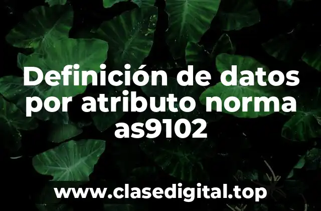 Definición de datos por atributo norma as9102