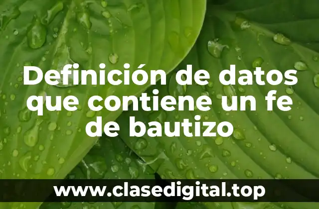 Definición de datos que contiene un fe de bautizo