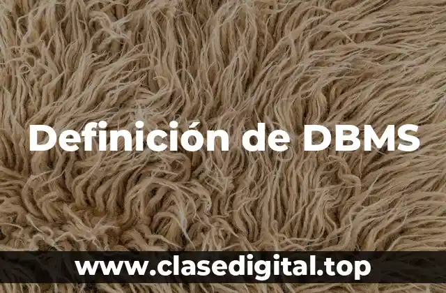Definición de DBMS