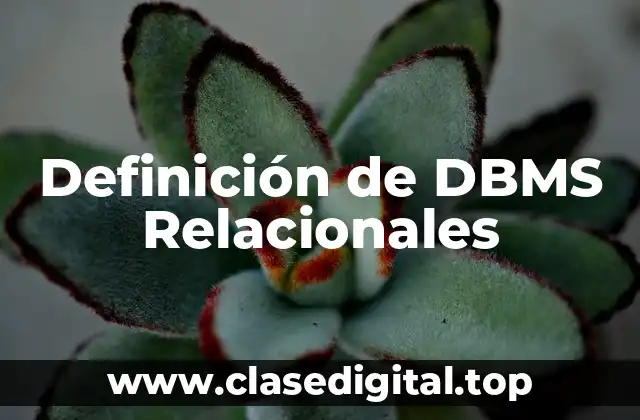 Definición de DBMS Relacionales