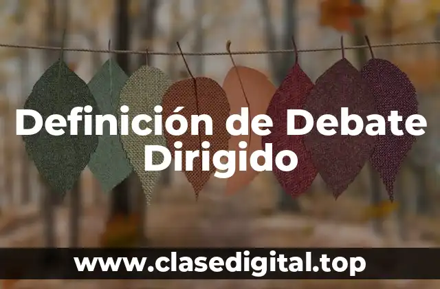 Definición de Debate Dirigido
