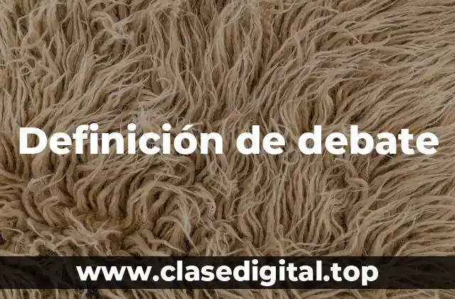 Definición de debate