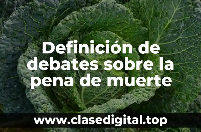 Definición de debates sobre la pena de muerte