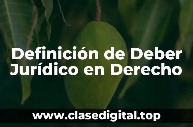 Definición de Deber Jurídico en Derecho