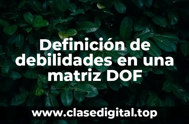 Definición de debilidades en una matriz DOF