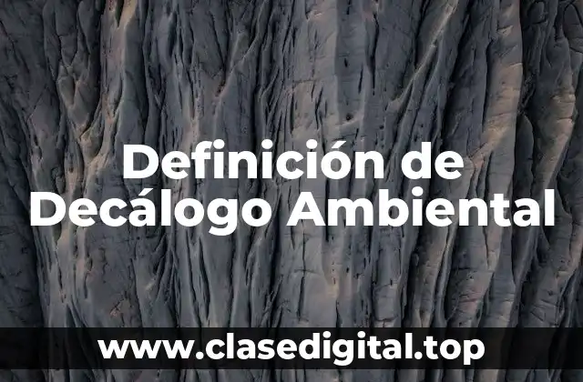 Definición técnica del Decálogo Ambiental