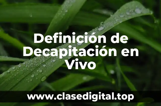 Definición de Decapitación en Vivo