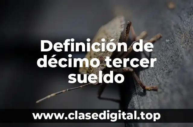 Definición de décimo tercer sueldo