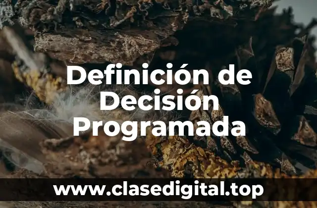 Definición de Decisión Programada