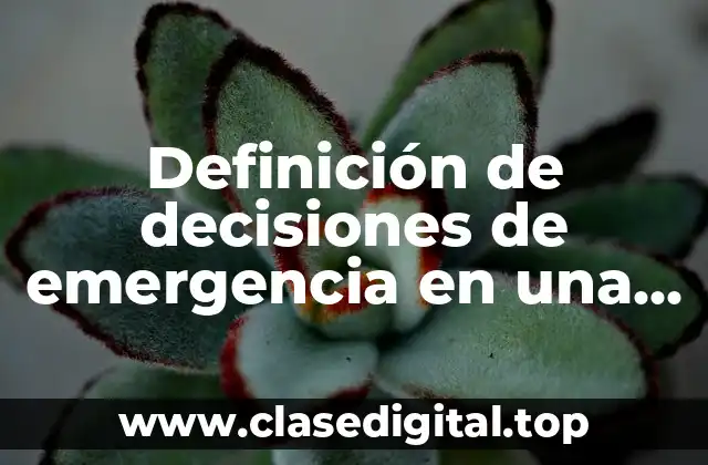 Definición de decisiones de emergencia en una empresa