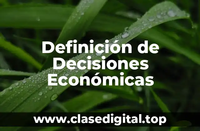 Definición de Decisiones Económicas