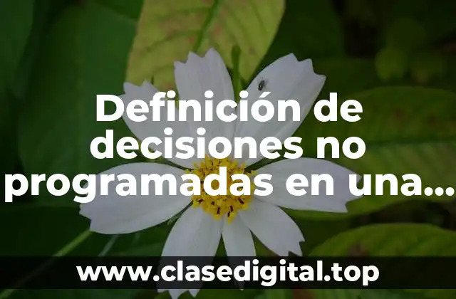 Definición de decisiones no programadas en una empresa