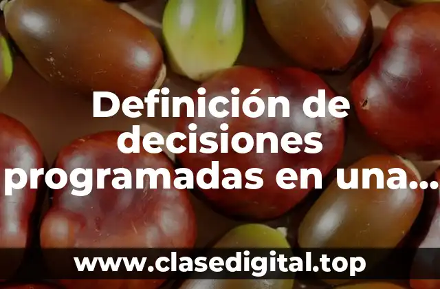 Definición de decisiones programadas en una empresa