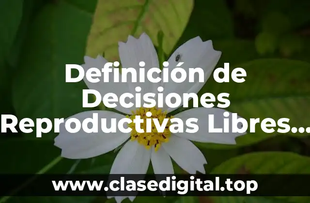 Definición de Decisiones Reproductivas Libres y Responsables