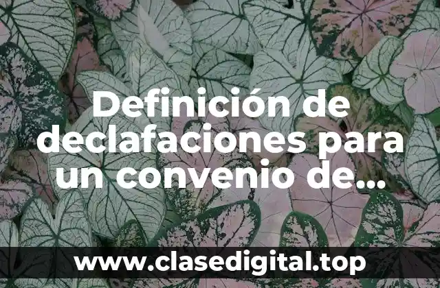 Definición de declafaciones para un convenio de alimentos