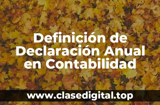 Definición técnica de Declaración Anual