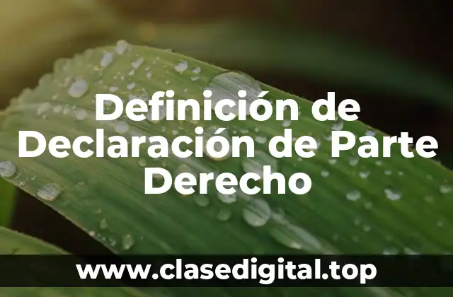 Definición Técnica de Declaración de Parte Derecho