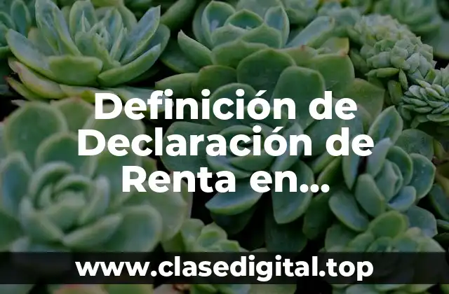 Definición de Declaración de Renta en Contabilidad