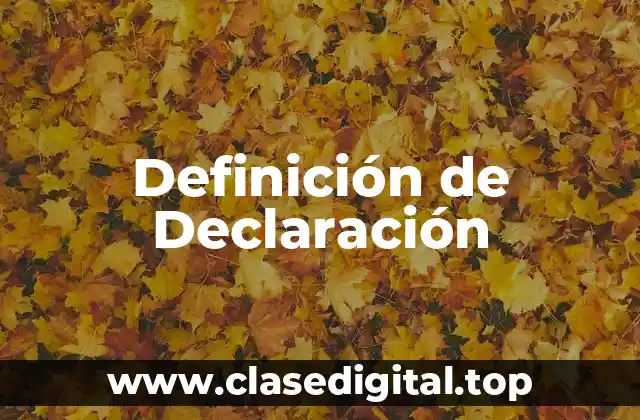 Definición de Declaración