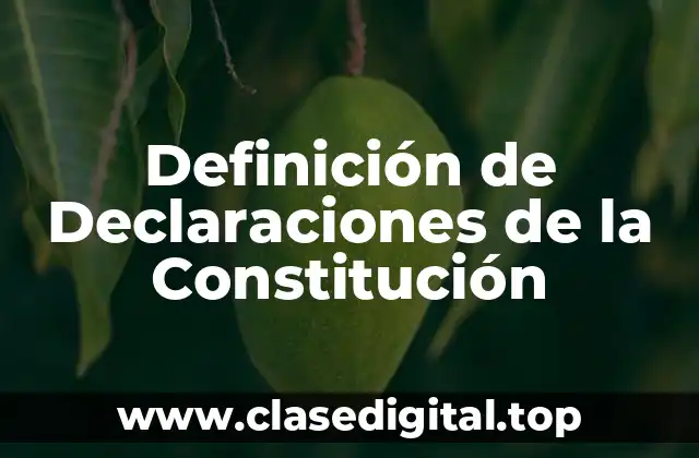 Definición de Declaraciones de la Constitución