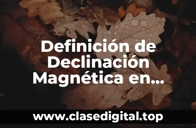 Definición de Declinación Magnética en Topografía