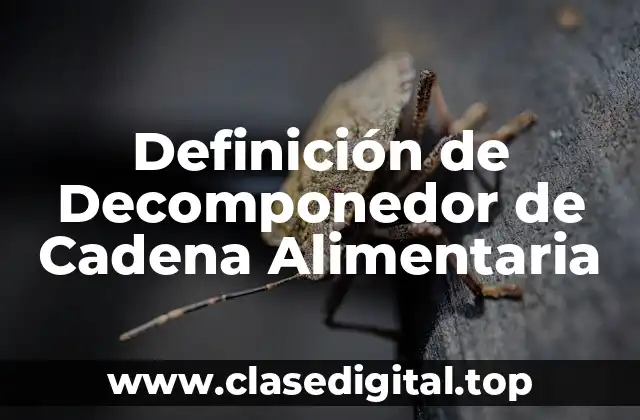 Definición de Decomponedor de Cadena Alimentaria