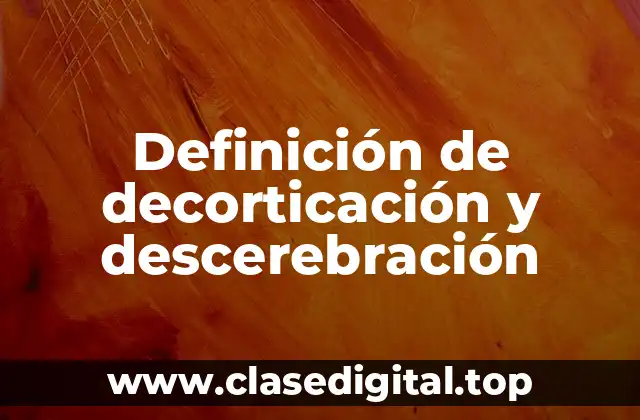 Definición de decorticación y descerebración